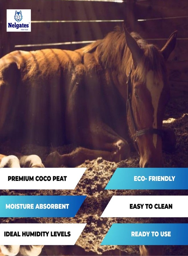 Nelgates Coco peat for Reptile, Horse, Cow, Hen, Pig, Bedding, Natural Coco peat 650g - Image 2
